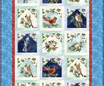 Winter Birds Quilt Pattern CJC-54031 - Paper Pattern Hot on Sale